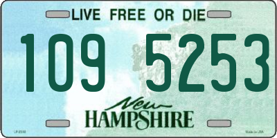 NH license plate 1095253