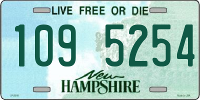 NH license plate 1095254