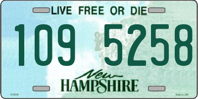 NH license plate 1095258