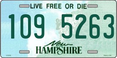 NH license plate 1095263
