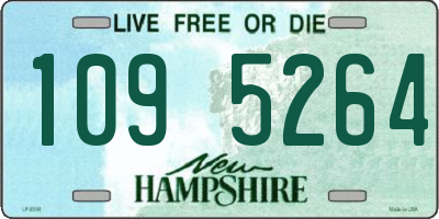 NH license plate 1095264