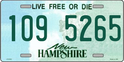 NH license plate 1095265