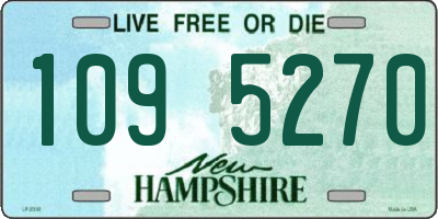 NH license plate 1095270