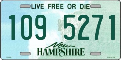 NH license plate 1095271