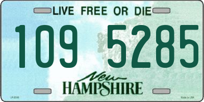 NH license plate 1095285