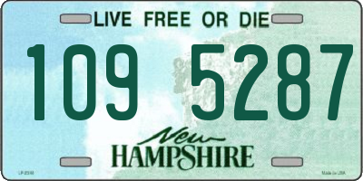 NH license plate 1095287