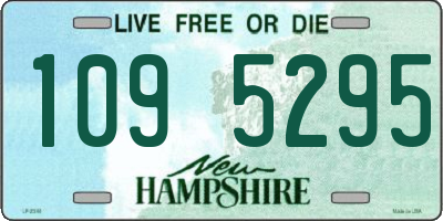 NH license plate 1095295