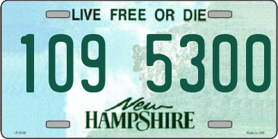 NH license plate 1095300
