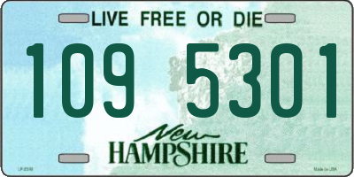 NH license plate 1095301