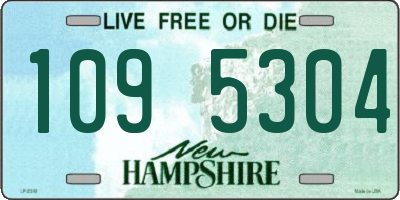NH license plate 1095304