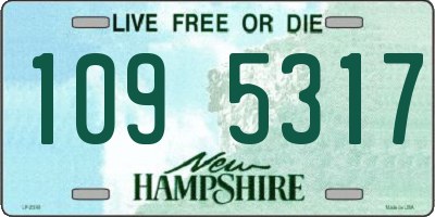 NH license plate 1095317