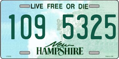 NH license plate 1095325