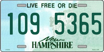 NH license plate 1095365