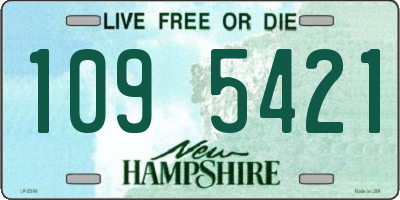 NH license plate 1095421