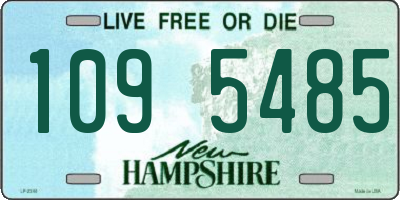 NH license plate 1095485