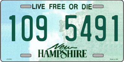 NH license plate 1095491
