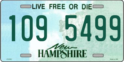 NH license plate 1095499
