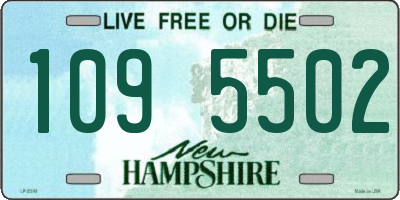 NH license plate 1095502