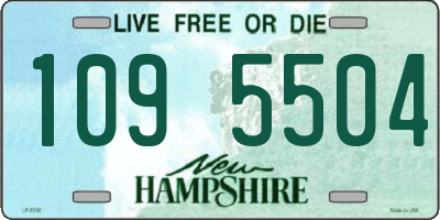 NH license plate 1095504