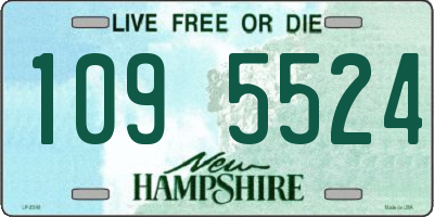 NH license plate 1095524