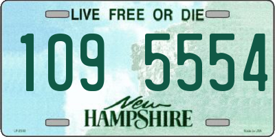 NH license plate 1095554