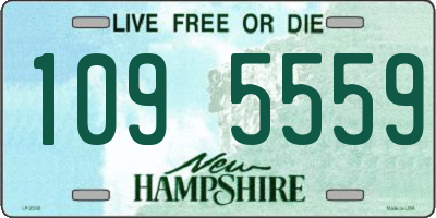 NH license plate 1095559