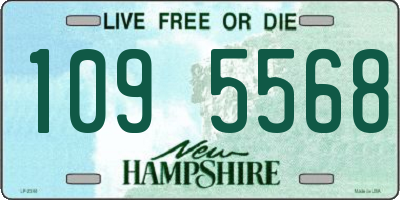 NH license plate 1095568