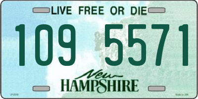 NH license plate 1095571