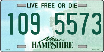 NH license plate 1095573