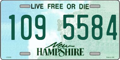 NH license plate 1095584