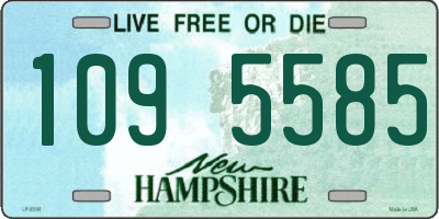 NH license plate 1095585