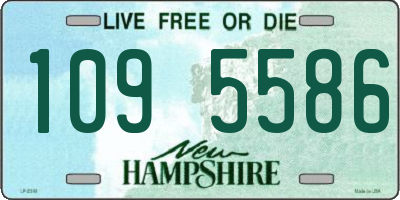 NH license plate 1095586
