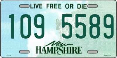 NH license plate 1095589