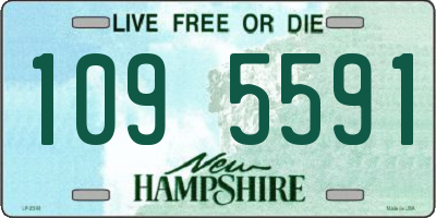 NH license plate 1095591