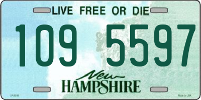 NH license plate 1095597