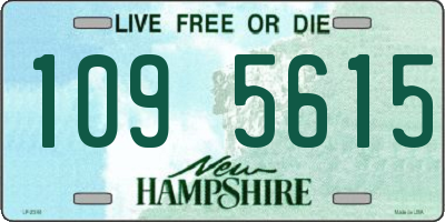NH license plate 1095615
