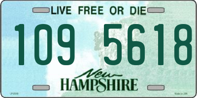 NH license plate 1095618
