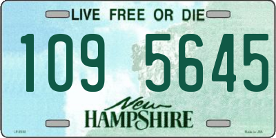 NH license plate 1095645