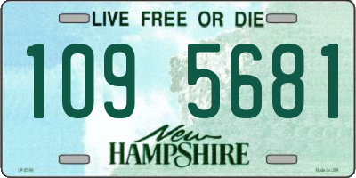 NH license plate 1095681