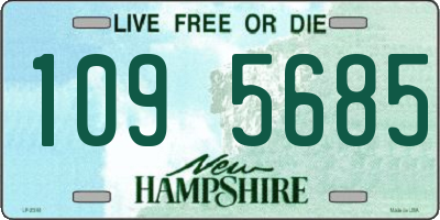 NH license plate 1095685