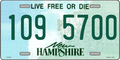 NH license plate 1095700
