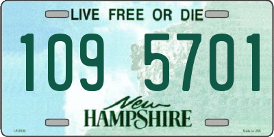 NH license plate 1095701