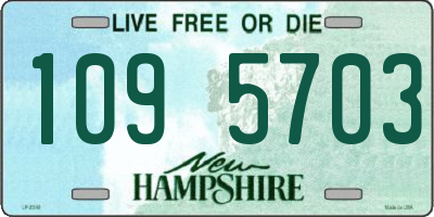 NH license plate 1095703