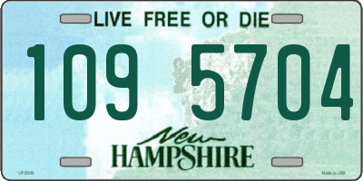 NH license plate 1095704