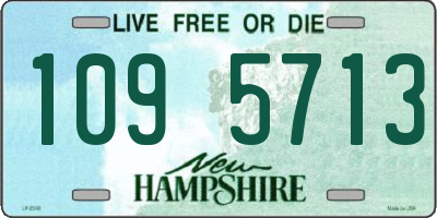 NH license plate 1095713