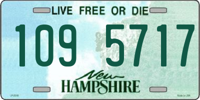 NH license plate 1095717