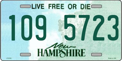 NH license plate 1095723
