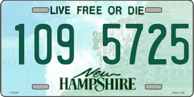 NH license plate 1095725