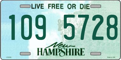NH license plate 1095728