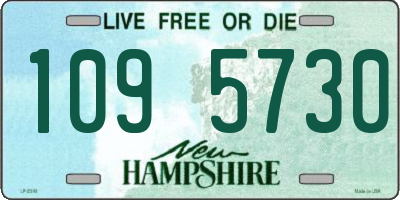 NH license plate 1095730